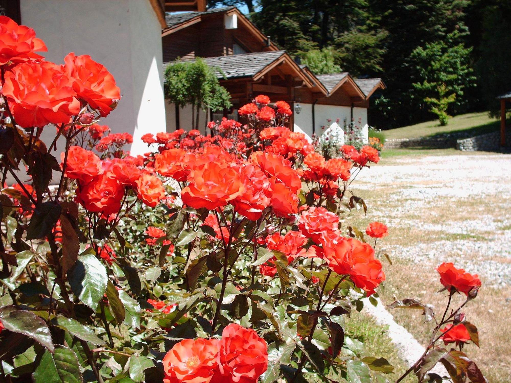 Hosteria El Condado by Nordic San Carlos de Bariloche Exterior foto